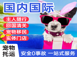 柳州空运地址国际宠物托运 【国